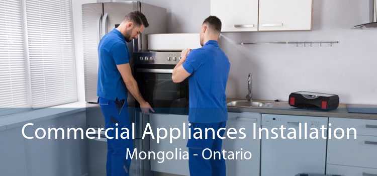 Commercial Appliances Installation Mongolia - Ontario