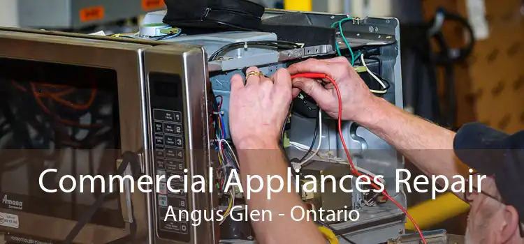 Commercial Appliances Repair Angus Glen - Ontario
