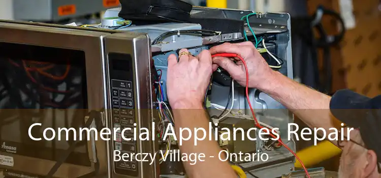 Commercial Appliances Repair Berczy Village - Ontario