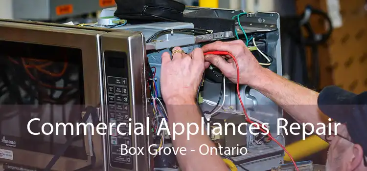 Commercial Appliances Repair Box Grove - Ontario