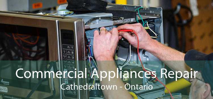 Commercial Appliances Repair Cathedraltown - Ontario