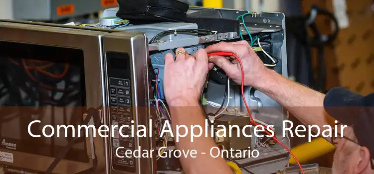 Commercial Appliances Repair Cedar Grove - Ontario