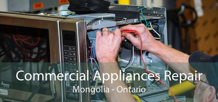 Commercial Appliances Repair Mongolia - Ontario