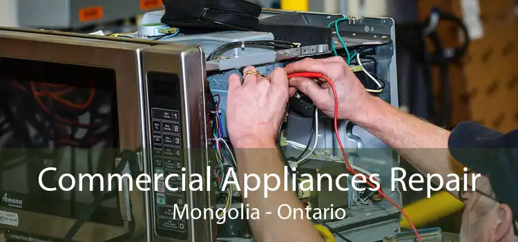 Commercial Appliances Repair Mongolia - Ontario