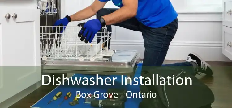 Dishwasher Installation Box Grove - Ontario