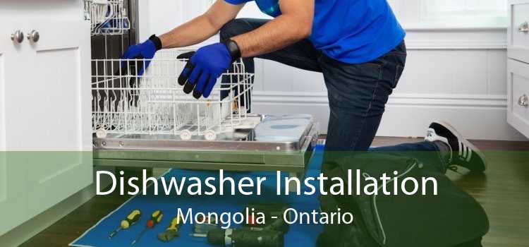 Dishwasher Installation Mongolia - Ontario