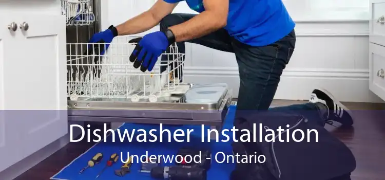 Dishwasher Installation Underwood - Ontario