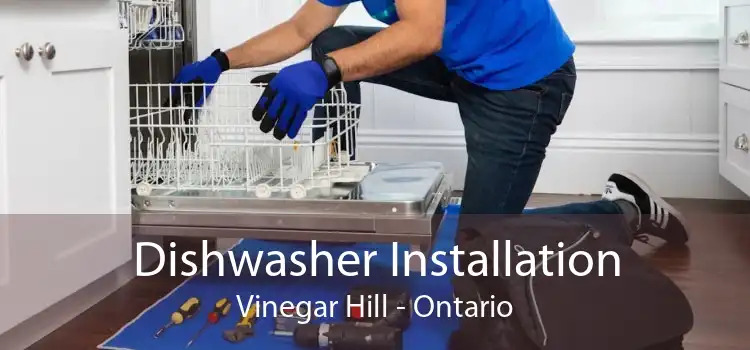 Dishwasher Installation Vinegar Hill - Ontario