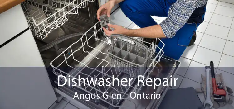 Dishwasher Repair Angus Glen - Ontario