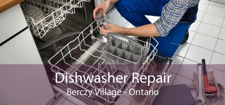 Dishwasher Repair Berczy Village - Ontario