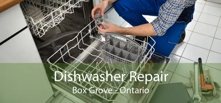 Dishwasher Repair Box Grove - Ontario