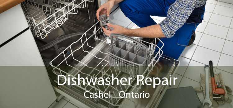 Dishwasher Repair Cashel - Ontario