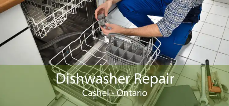 Dishwasher Repair Cashel - Ontario