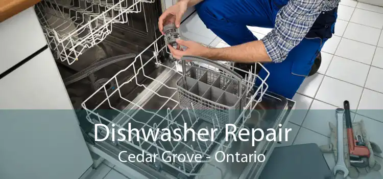 Dishwasher Repair Cedar Grove - Ontario