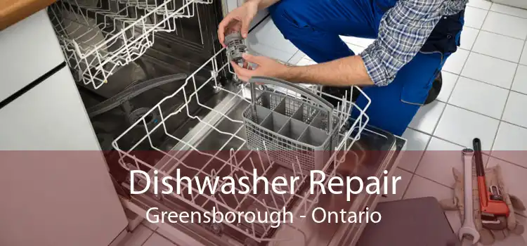 Dishwasher Repair Greensborough - Ontario