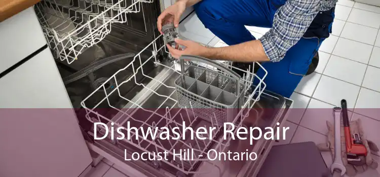 Dishwasher Repair Locust Hill - Ontario