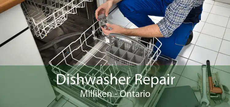 Dishwasher Repair Milliken - Ontario