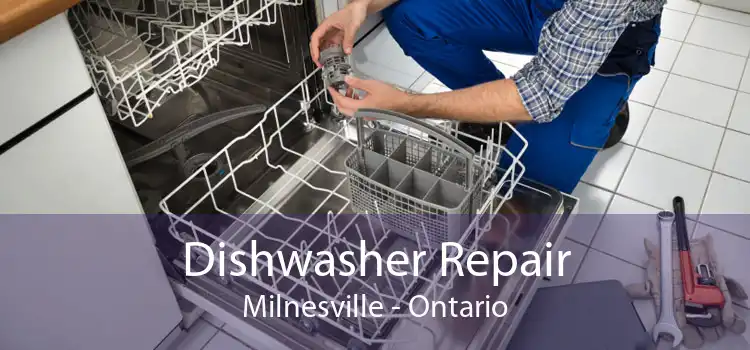 Dishwasher Repair Milnesville - Ontario