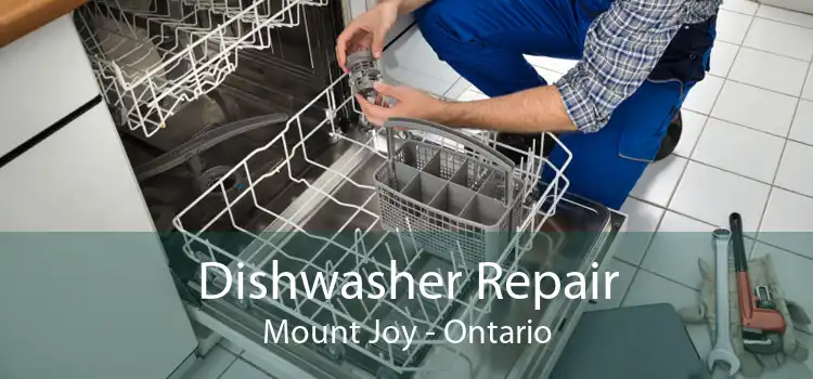 Dishwasher Repair Mount Joy - Ontario