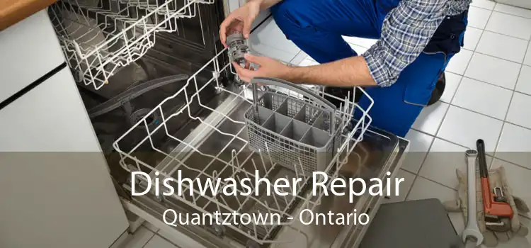 Dishwasher Repair Quantztown - Ontario