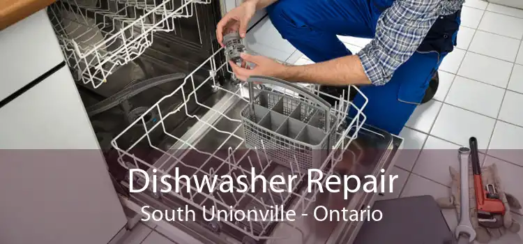 Dishwasher Repair South Unionville - Ontario
