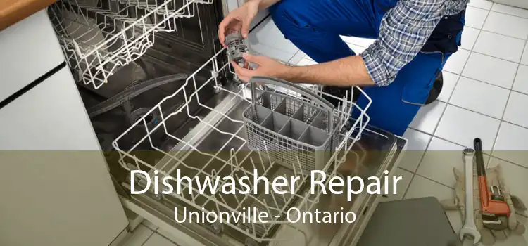Dishwasher Repair Unionville - Ontario