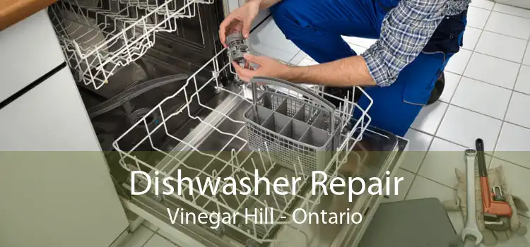 Dishwasher Repair Vinegar Hill - Ontario