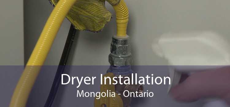 Dryer Installation Mongolia - Ontario