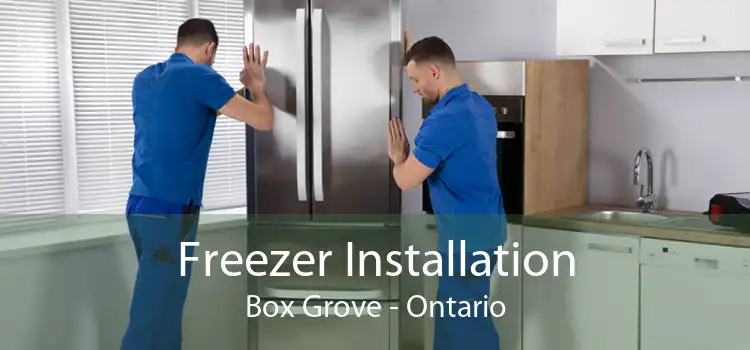 Freezer Installation Box Grove - Ontario