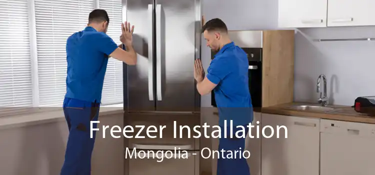 Freezer Installation Mongolia - Ontario