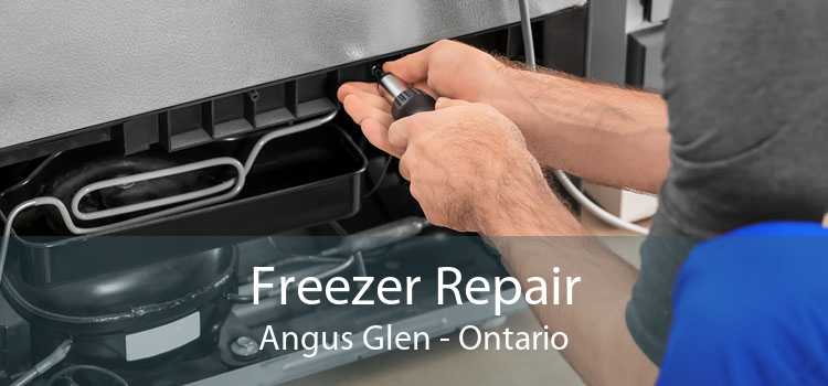 Freezer Repair Angus Glen - Ontario