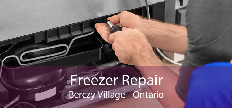 Freezer Repair Berczy Village - Ontario