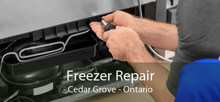Freezer Repair Cedar Grove - Ontario