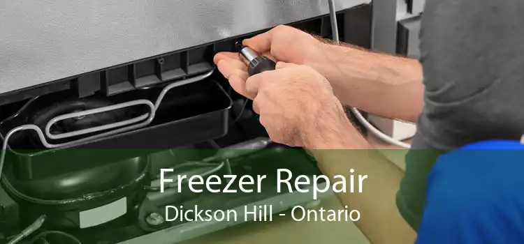 Freezer Repair Dickson Hill - Ontario