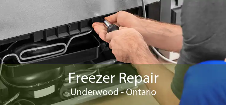 Freezer Repair Underwood - Ontario
