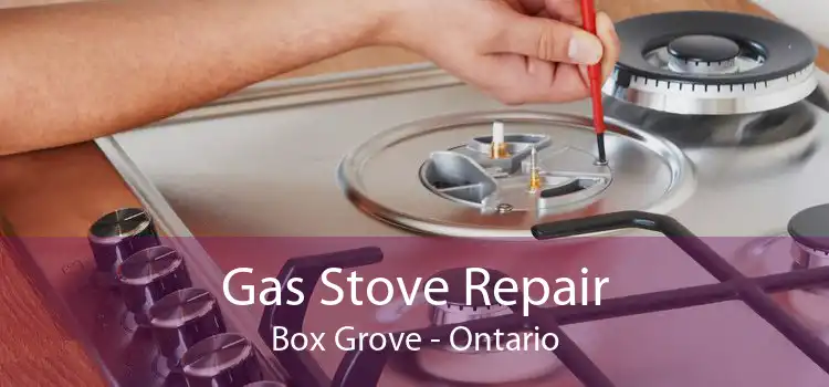 Gas Stove Repair Box Grove - Ontario