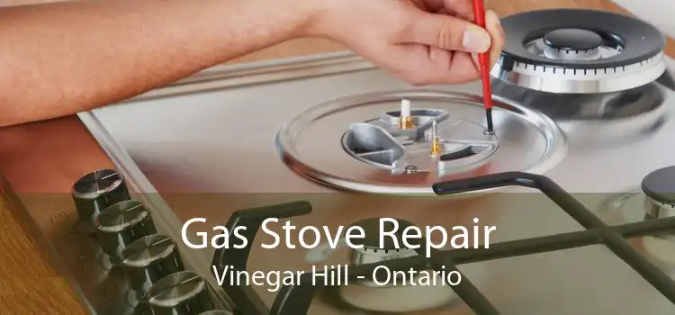 Gas Stove Repair Vinegar Hill - Ontario