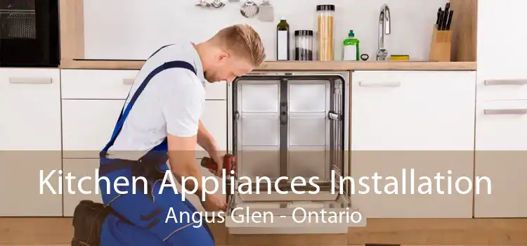 Kitchen Appliances Installation Angus Glen - Ontario