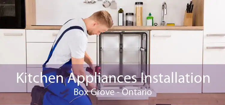 Kitchen Appliances Installation Box Grove - Ontario
