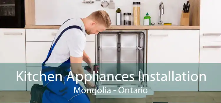 Kitchen Appliances Installation Mongolia - Ontario