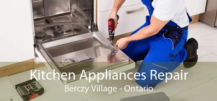 Kitchen Appliances Repair Berczy Village - Ontario