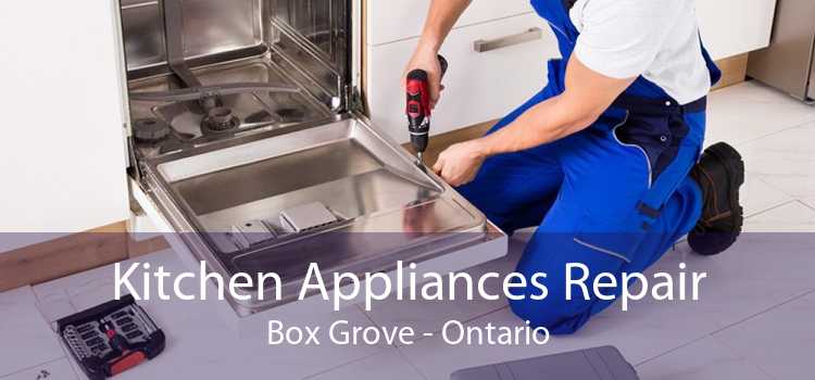 Kitchen Appliances Repair Box Grove - Ontario