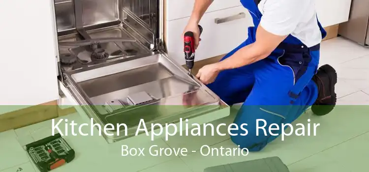 Kitchen Appliances Repair Box Grove - Ontario