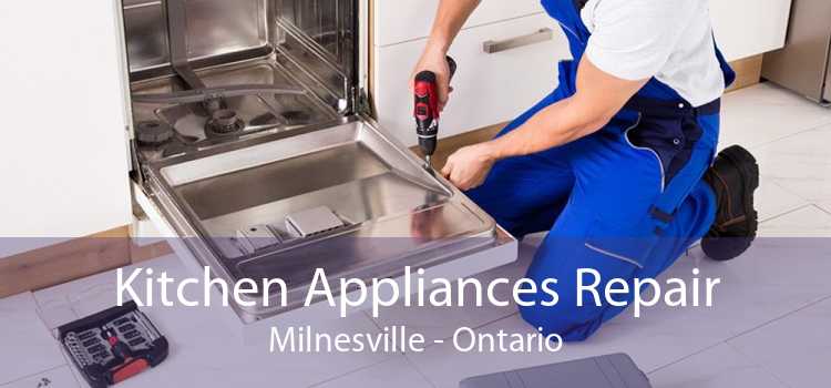 Kitchen Appliances Repair Milnesville - Ontario