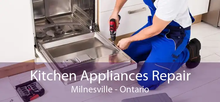 Kitchen Appliances Repair Milnesville - Ontario
