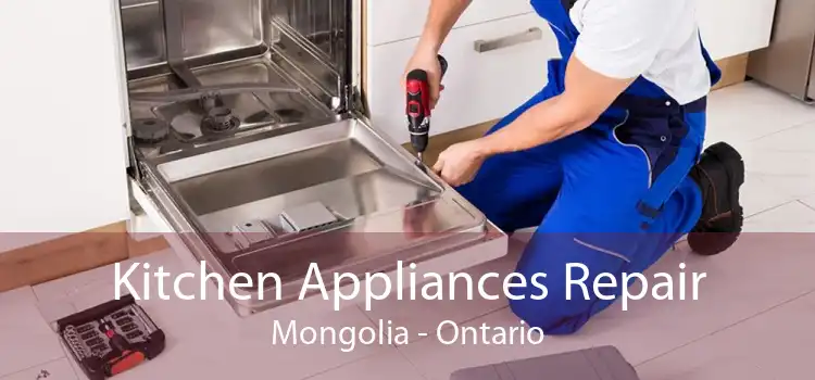 Kitchen Appliances Repair Mongolia - Ontario