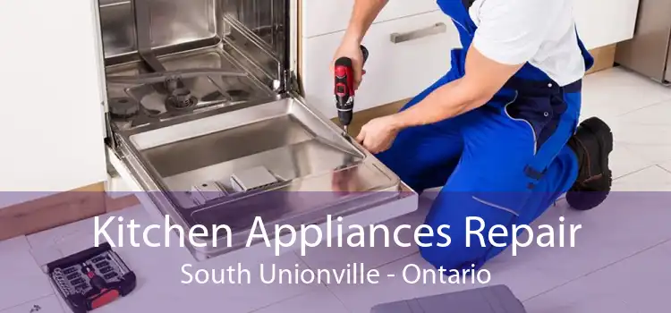 Kitchen Appliances Repair South Unionville - Ontario