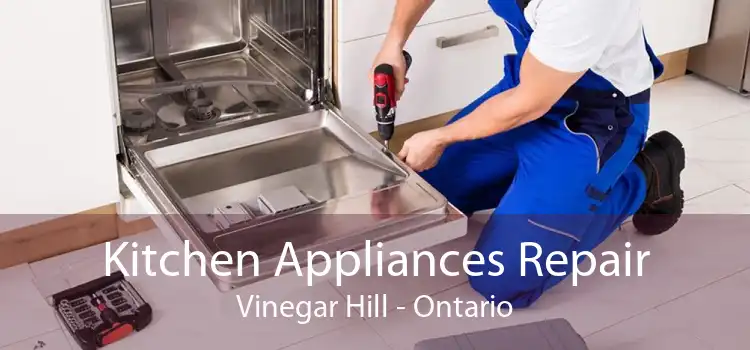 Kitchen Appliances Repair Vinegar Hill - Ontario