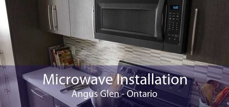 Microwave Installation Angus Glen - Ontario