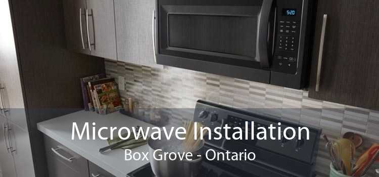 Microwave Installation Box Grove - Ontario